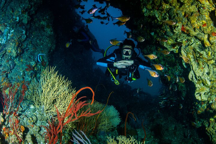 Image 1