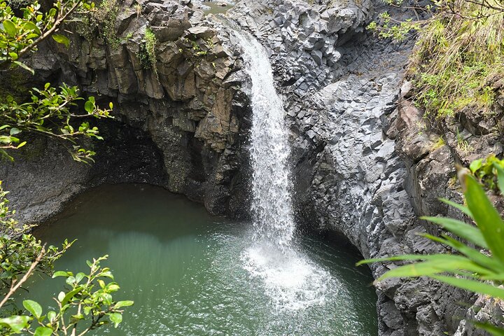 Maui's Backside: Private Road to Hana Adventure!