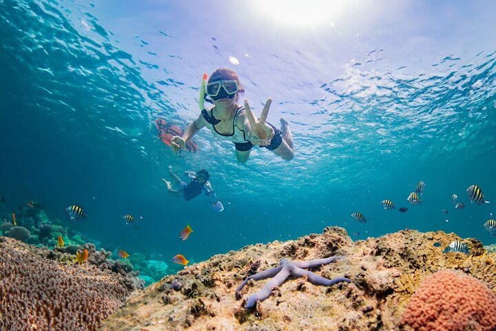 Phuket: Coral Island Snorkeling - Half-Day Escape!