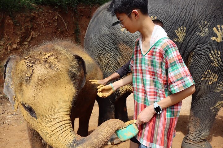 Elephant Hugs & Care: Patong Half-Day Sanctuary
