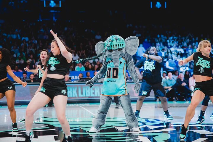 New York Liberty: WNBA Game Ticket at Barclays!