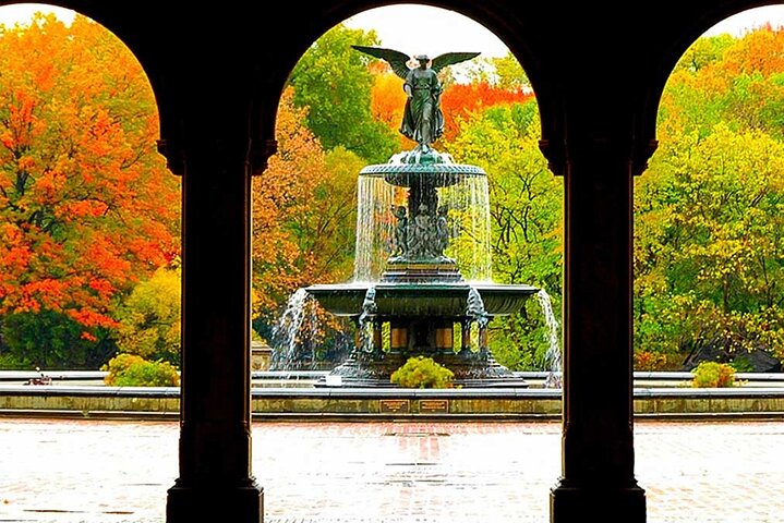 Central Park Walking Tour: History & Hidden Gems!