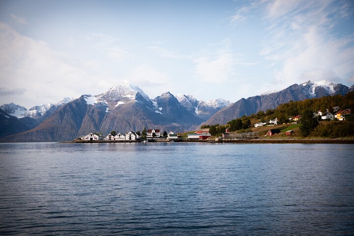 img0