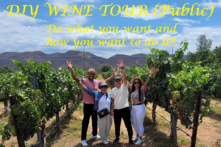 Temecula DIY Winery Tour: Party Bus Fun!